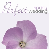 Album artwork for PERFECT SPRING WEDDING