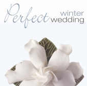 Album artwork for PERFECT WINTER WEDDING