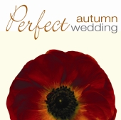Album artwork for PERFECT AUTUMN WEDDING