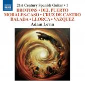 Album artwork for 21st Century Spanish Guitar Music / Levin