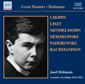 Album artwork for Josef Hofmann: Acoustic Recordings 1916-1923