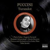 Album artwork for Puccini: Turandot (Callas, Fernandi)