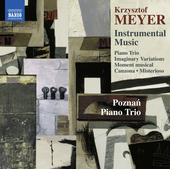 Album artwork for Meyer: Instrumental Music