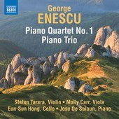 Album artwork for Enescu: Piano Quartet No. 1 - Piano Trio