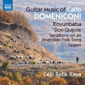 Album artwork for Domeniconi: Guitar Music