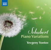 Album artwork for Schubert: Piano Variations