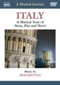 Album artwork for Musical journey: Italy / Siena, Pisa, Nervi