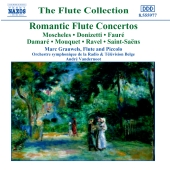 Album artwork for ROMANTIC FLUTE CONCERTOS