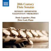 Album artwork for 20th Century Flute Sonatas