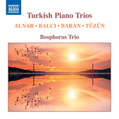 Album artwork for Turkish Works for Piano Trio