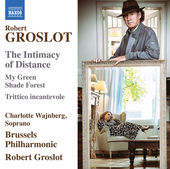 Album artwork for Groslot: The Intimacy of Distance