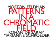 Album artwork for PATTERNS IN A CHROMATIC FIELD