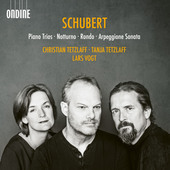 Album artwork for Schubert: Piano Trios Nos. 1 & 2, Notturno, Rondo 