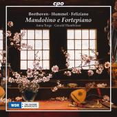 Album artwork for Mandolino e fortepiano