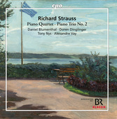 Album artwork for Strauss: Piano Quartet in C Major, Op. 13, TrV 137