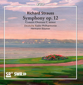 Album artwork for Richard Strauss: Symphony No. 2 - Concertouvertür