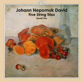 Album artwork for David: Five String Trios