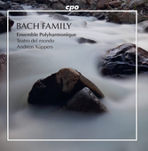 Album artwork for Bach Family