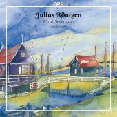 Album artwork for Rontgen: Wind Serenads