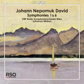 Album artwork for J.N. David: Symphonies 1 & 6 / Wildner