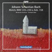 Album artwork for Bach: Motets / Max