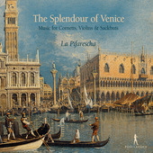 Album artwork for The Splendour of Venice: Music for Cornetts, Violi