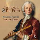 Album artwork for The Bachs & the Flute