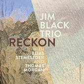 Album artwork for Reckon