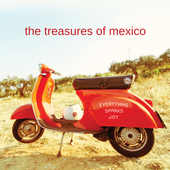 Album artwork for Treasures Of Mexico - Everything Sparks Joy 