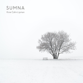 Album artwork for Sumna