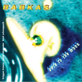 Album artwork for Babkas - Ants To The Moon 
