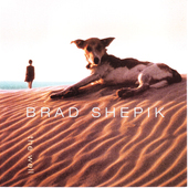 Album artwork for Brad Shepik - The Well 
