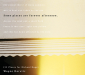 Album artwork for Wayne Horvitz - Some Places Are Forever Afternoon 