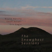 Album artwork for Wayne Horvitz - The Snowghost Sessions 