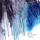 Album artwork for David Occhipinti: Camera