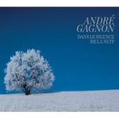 Album artwork for Andre Gagnon: Dans le silence de la nuit