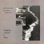 Album artwork for Passion, Grace & Fire / Mclaughlin, Di Meola, Di L