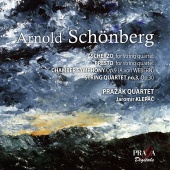 Album artwork for Arnold Schoenberg: Chamber Music, Vol.5