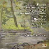 Album artwork for Trio Kinsky Prague - Czech Chamber Music