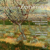 Album artwork for Alexander Zemlinsky: Early Chamber Music