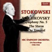 Album artwork for Tchaikovsky - Symphony no.5 (Stokowski)