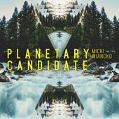 Album artwork for Planetary Candidate