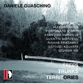 Album artwork for Daniele Guaschino: Trees Trunks Territories