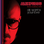 Album artwork for ALL I WANT IS YOUR LOVE (LP)