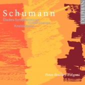Album artwork for Schumann: Etudes, Kinderszenen, etc