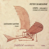 Album artwork for Peter Seabourne: Steps, Vol. 2 