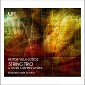 Album artwork for Villa-lobos: String Trio & other chamber works