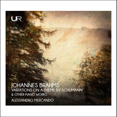 Album artwork for Brahms: Variations on a theme by Schumann and othe