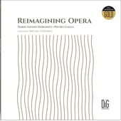 Album artwork for REIMAGINING OPERA (LP)