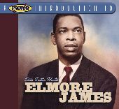 Album artwork for A PROPER INTRODUCTION TO ELMORE JAMES